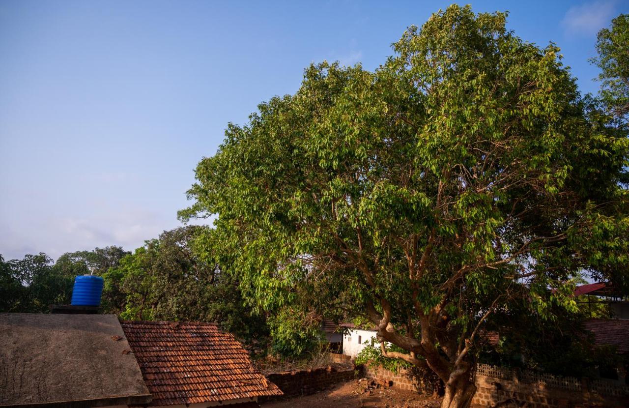 La Oasis By Meraden ,Goa Анджуна Екстериор снимка